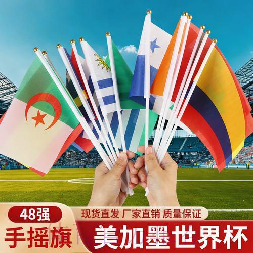 世界杯预选赛观赛攻略：全力为你的最爱球队呐喊助威